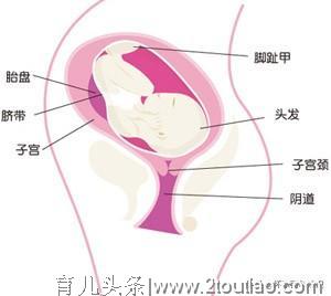 怀孕第三十二周，是不是迫不及待想见到你的小宝宝了？