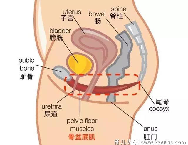 每个女人都有的产后后遗症，不只是跟屎尿屁做斗争那么简单~