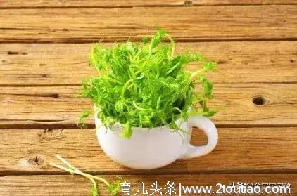 10大素食催奶佳品：下奶不发胖，宝宝智商更高！