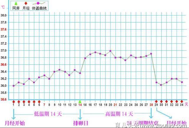 排卵期更容易怀孕是个“骗局”，医生说这个时间比排卵期高4倍