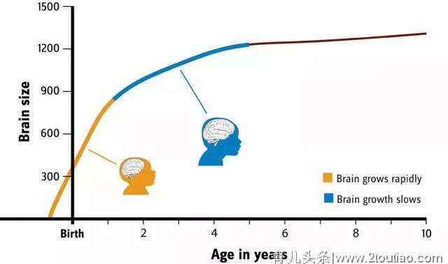 教儿子奥数时发现：孩子的逻辑思维有个窗口期，一旦错过就晚了