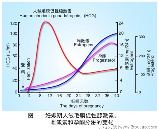 孕期HCG翻倍说明胎儿很健康，这个数值和别人比没用，别瞎紧张！