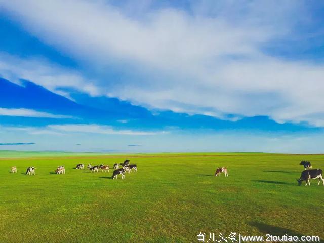 6月最佳避暑旅行地！气温25℃！最适合亲子出行！（附旅行路线）