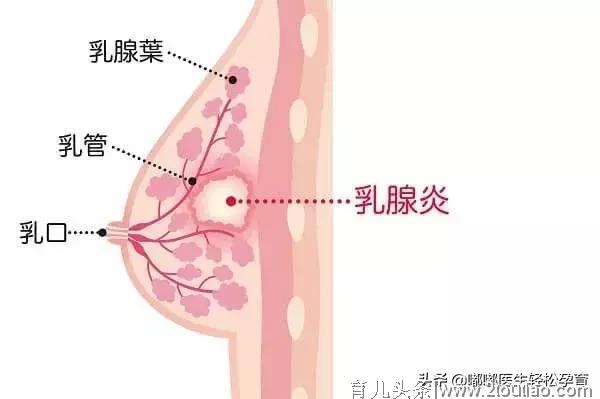 别再为喂奶犯愁了！这篇文章帮你解答母乳喂养的那些问题