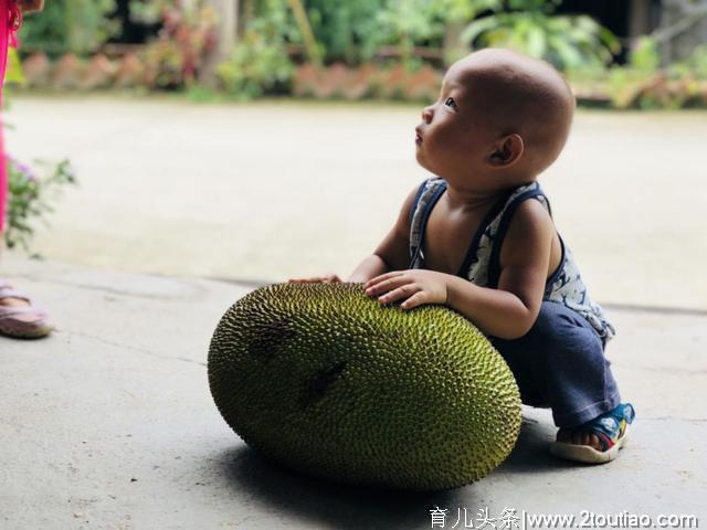 守护雨林丨西双版纳七天六夜“暑期·亲子营”火热进行中......