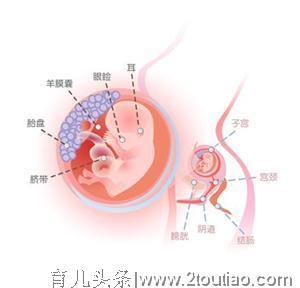 孕期每个月胎儿最害怕妈妈做什么？