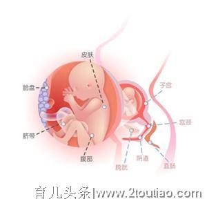 孕期每个月胎儿最害怕妈妈做什么？