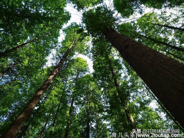 江苏徐州自驾游，一家五口的海边度假亲子时光