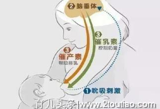 母乳不够吃？学会这5个方法，让新妈妈实现全母乳喂养