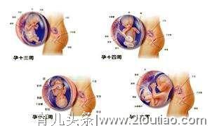 怀孕1-10个月的孕期建议