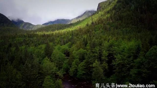 10大亲子旅行地告诉你，为什么一定要带孩子看世界