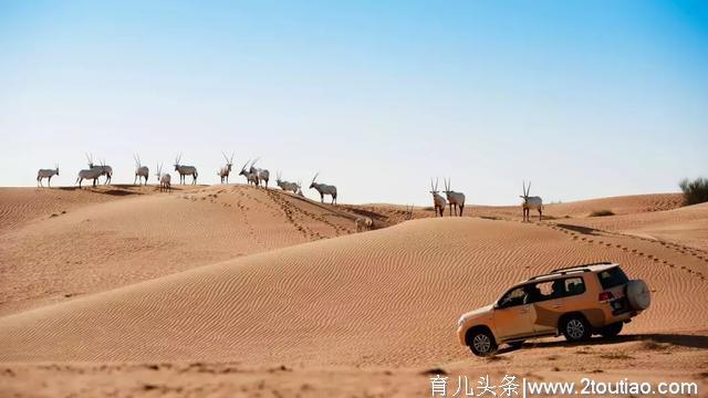 10大亲子旅行地告诉你，为什么一定要带孩子看世界