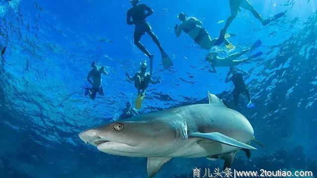 10大亲子旅行地告诉你，为什么一定要带孩子看世界