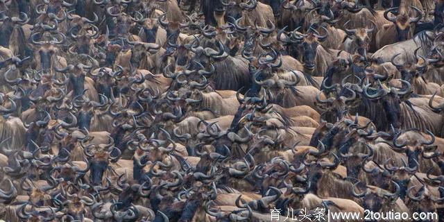 10大亲子旅行地告诉你，为什么一定要带孩子看世界