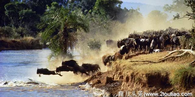 10大亲子旅行地告诉你，为什么一定要带孩子看世界