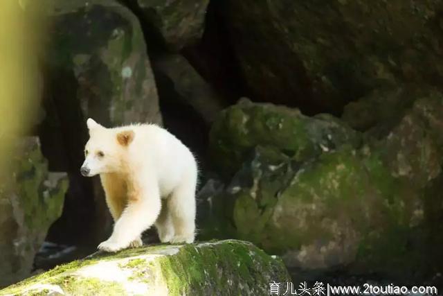 10大亲子旅行地告诉你，为什么一定要带孩子看世界