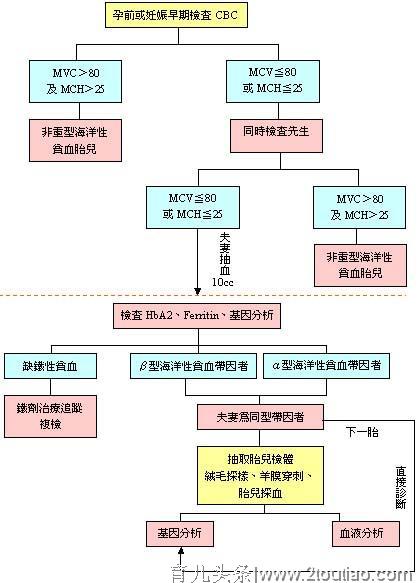 地中海贫血是什么，备孕妈妈为什么要重视