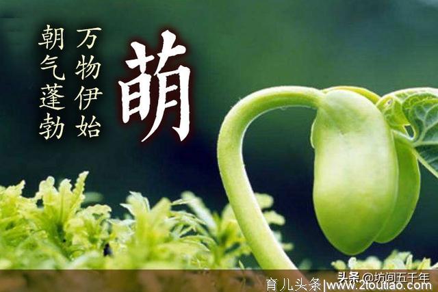 “鸿蒙”意味着之后的漫长“启蒙”，启蒙教育直接决定古人的一生