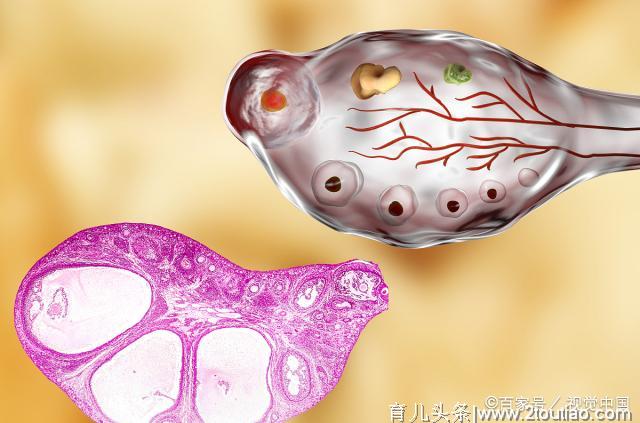 备孕时，若这4个条件你都满足了，怀孕也能更快一下