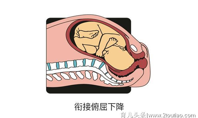 揭秘分娩全过程，宝宝为了出生也是拼了