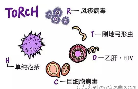 想让宝宝赢在起跑线上，从备孕期你就要开始努力了