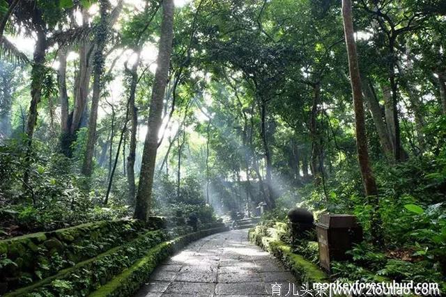 东南亚最佳亲子旅行地，孩子开心大人省心