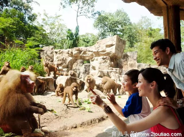 东南亚最佳亲子旅行地，孩子开心大人省心