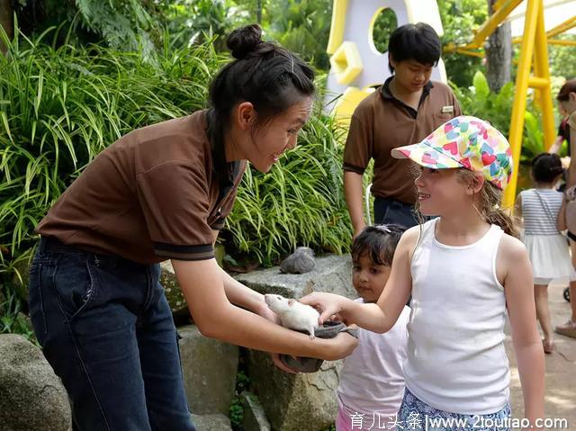 东南亚最佳亲子旅行地，孩子开心大人省心