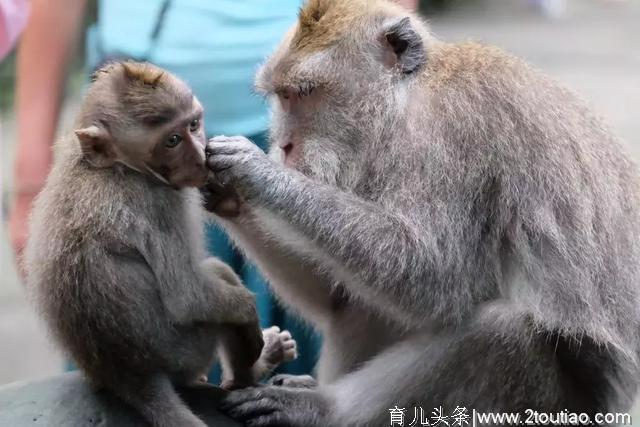 东南亚最佳亲子旅行地，孩子开心大人省心