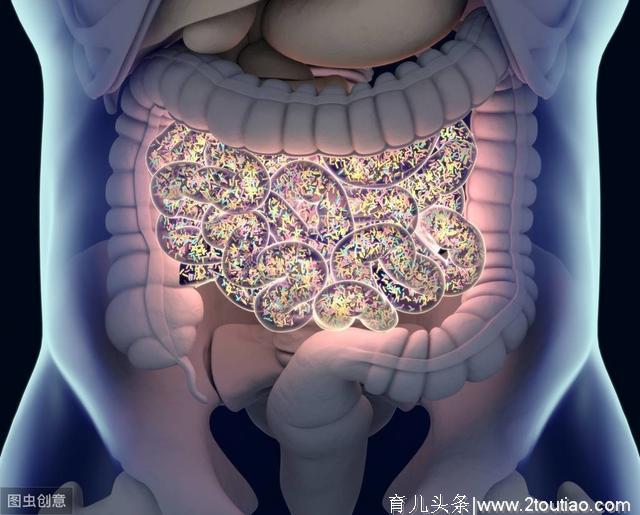 腹泻、便秘、过敏、肥胖…这些儿童常见病都和肠道菌群有关