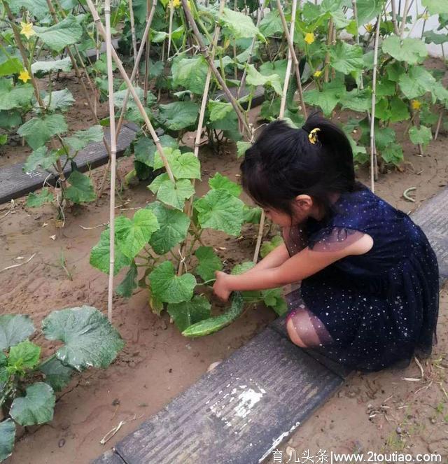 幼儿园开辟小菜园 农业教育从学龄前开始