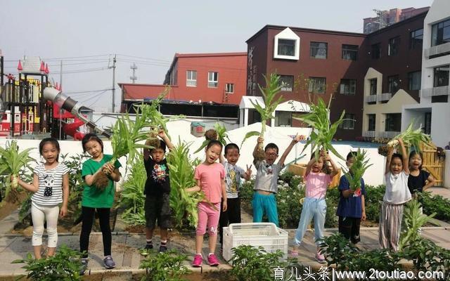 幼儿园开辟小菜园 农业教育从学龄前开始