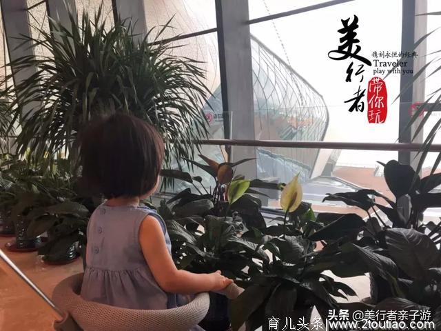 超级难约的“海洋上的故宫”再开新展厅！还有儿童互动海洋体验哦