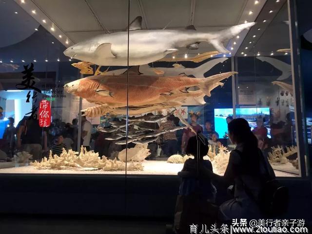 超级难约的“海洋上的故宫”再开新展厅！还有儿童互动海洋体验哦