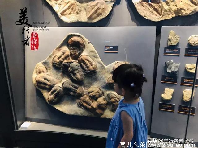 超级难约的“海洋上的故宫”再开新展厅！还有儿童互动海洋体验哦