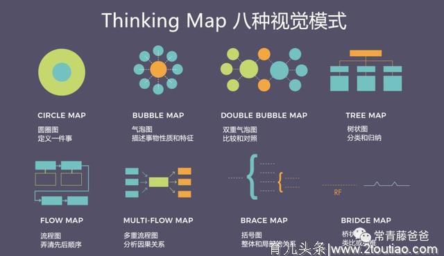 美国幼儿园/小学都在用的思维导图，怎样在家教给学龄前的孩子？