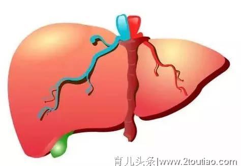 感染科教授说：肝硬化也能生下健康的孩子，一种情况除外