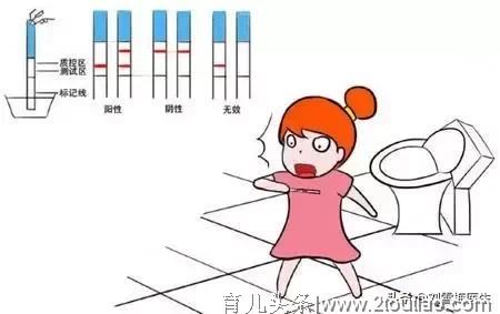 生男生女有妙招吗？照这个备孕攻略做，怀孕生子水到渠成