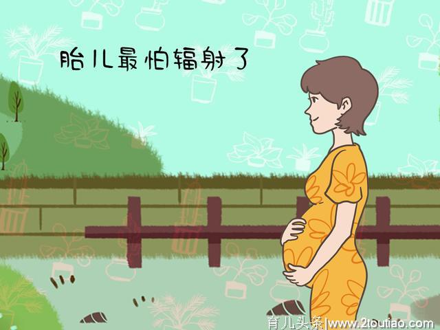 因怀孕要求全楼断网？孕期再矫情，也别拿无知挑战他人的正常需求