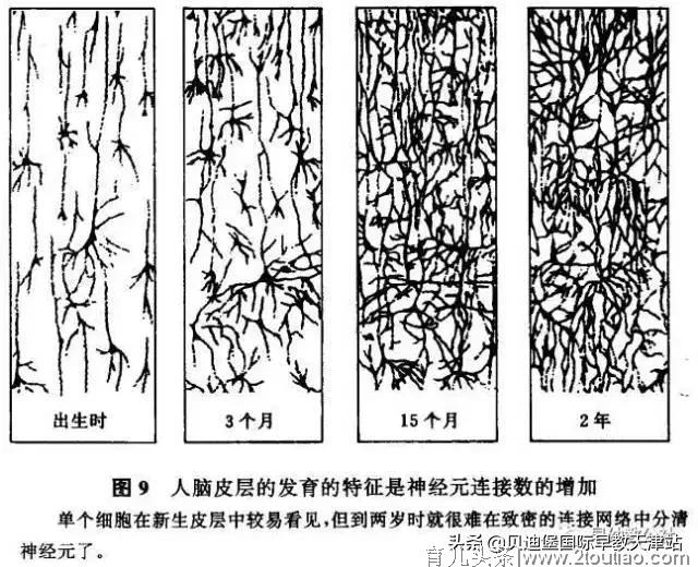 「贝迪分享」早教对宝宝和家庭教育的重要性