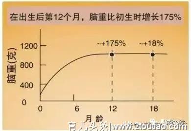 「贝迪分享」早教对宝宝和家庭教育的重要性