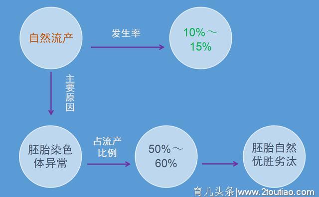 纯干货总结，准爸爸必看：怀孕1-7周孕早期实用知识点（上）