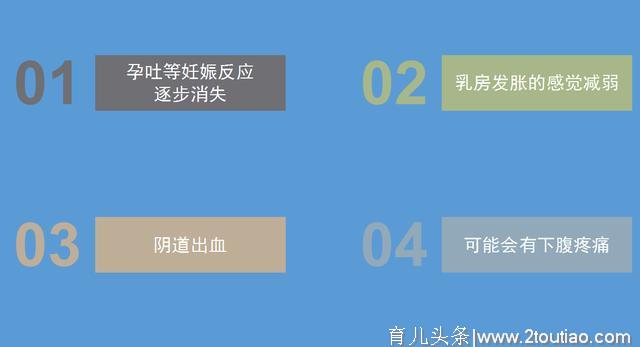 纯干货总结，准爸爸必看：怀孕1-7周孕早期实用知识点（上）