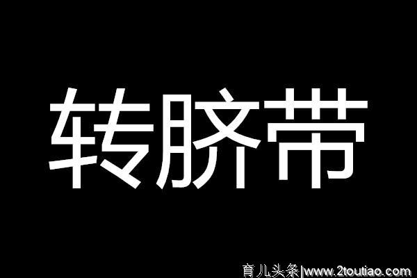 怀孕期间，胎儿在肚子里居然做了这么多啼笑皆非的事儿！太搞笑了