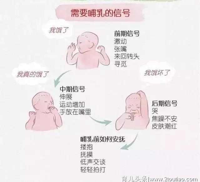 母乳喂养宣传周 | 母乳喂养知识大全