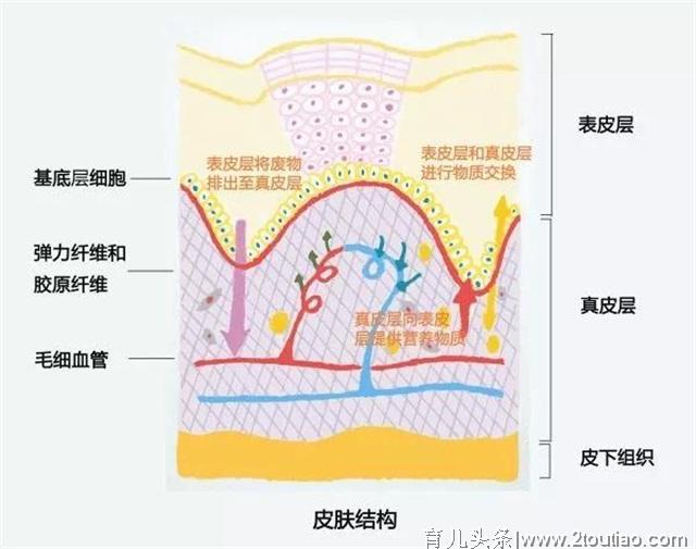 孕期护肤能做啥，不能做啥？记住这些护肤品，孕妇一定不能碰