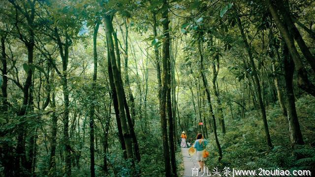 杭州周边好去处 亲子避暑旅行地 周末两天刚刚好