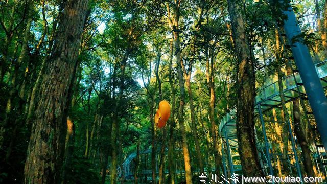 杭州周边好去处 亲子避暑旅行地 周末两天刚刚好