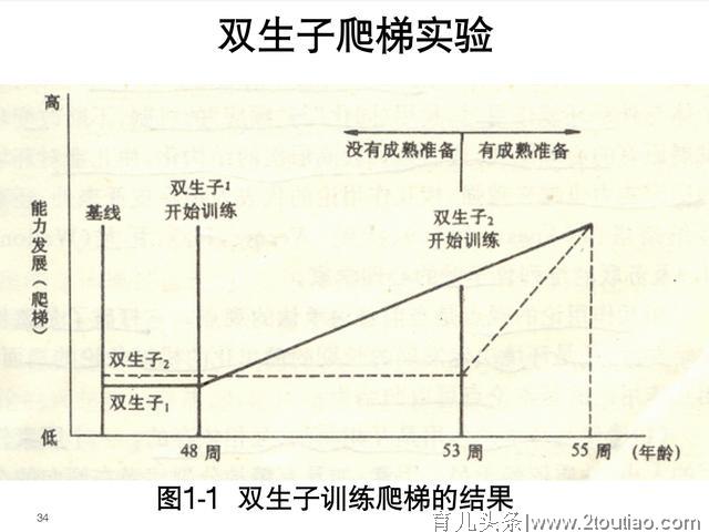 900名家长被早教机构骗200万：早教真的那么重要吗？