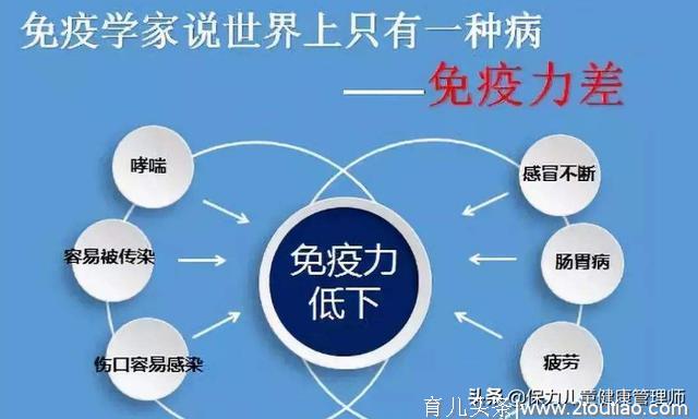 补硒选这7类平价食物，带你去世界硒都揭开硒的“神秘面纱”